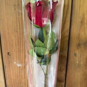 Rose rouge à l'unité emballée